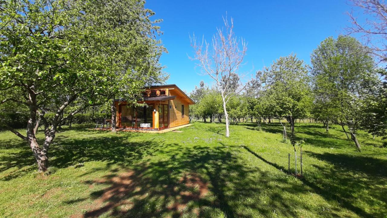Tiny House Grabovac Villa Rakovica Kültér fotó