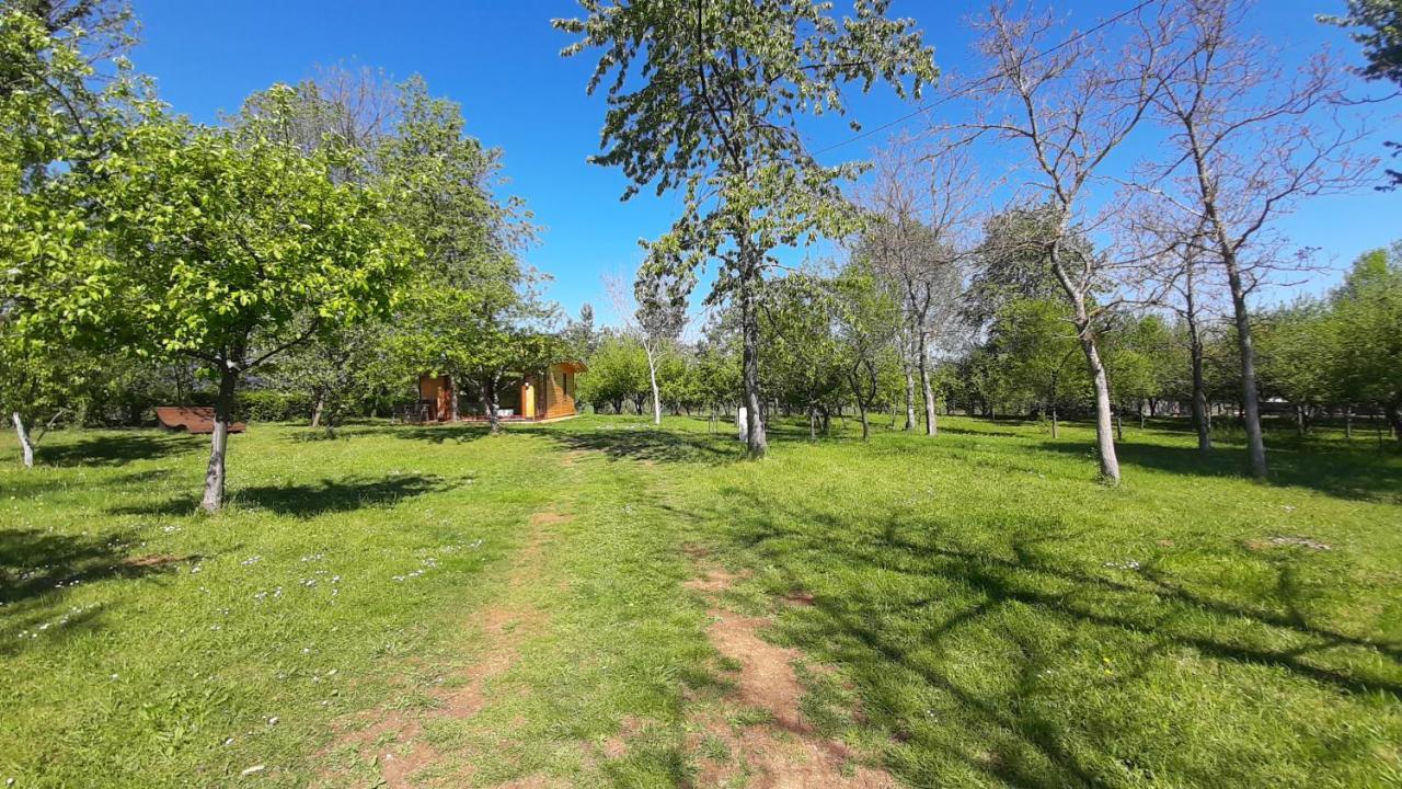 Tiny House Grabovac Villa Rakovica Kültér fotó