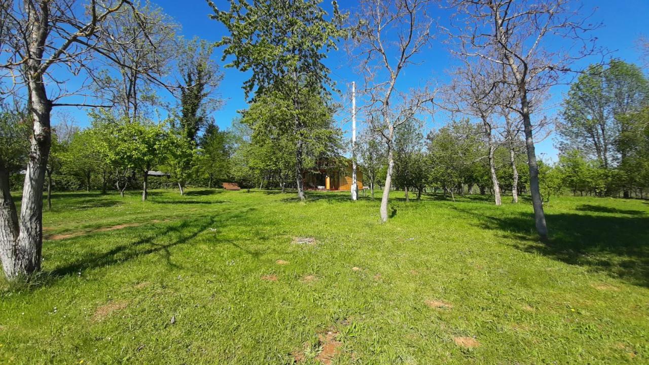 Tiny House Grabovac Villa Rakovica Kültér fotó